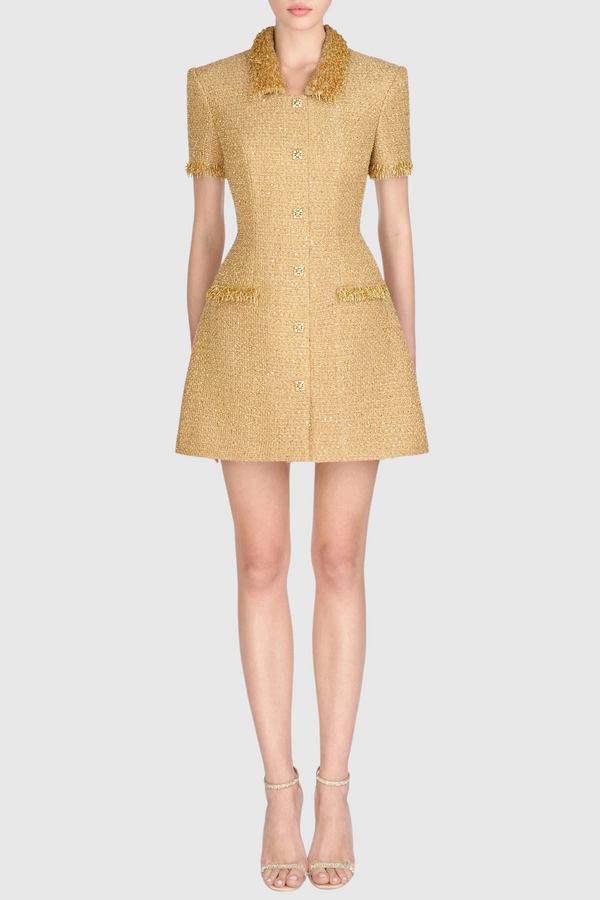 Elborno Gold Embellished Mini Dress