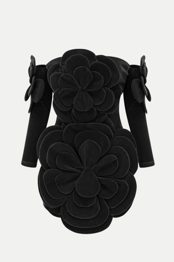 Kerio Floral Appliqué Velvet Mini Dress - Black