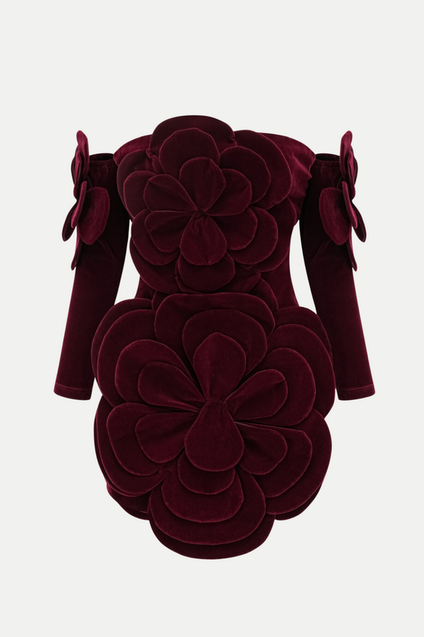 Kerio Floral Appliqué Velvet Mini Dress - Red