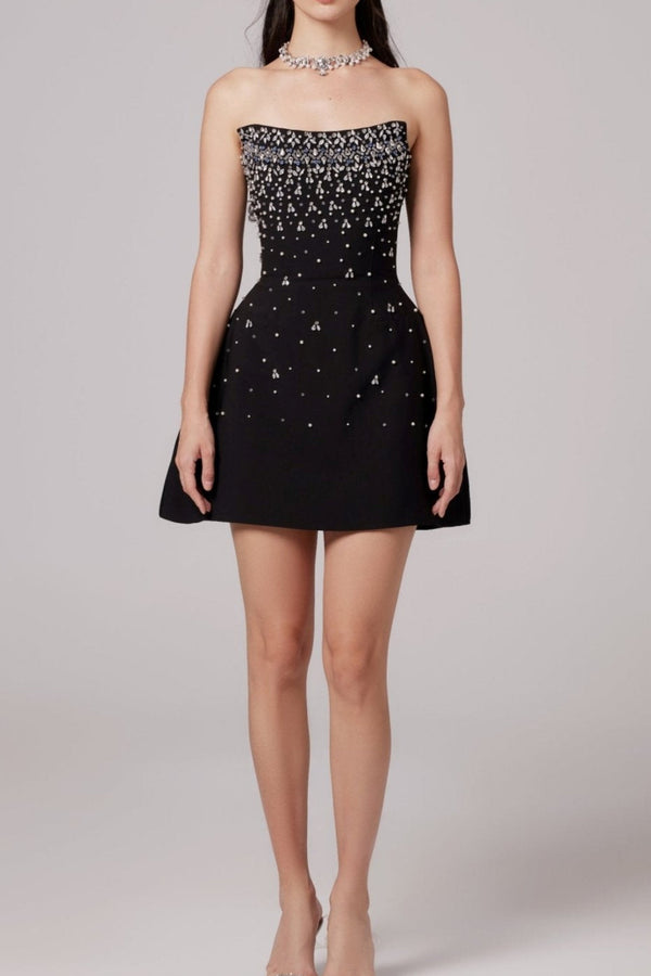 Sylvia Crystal Strapless Mini Dress